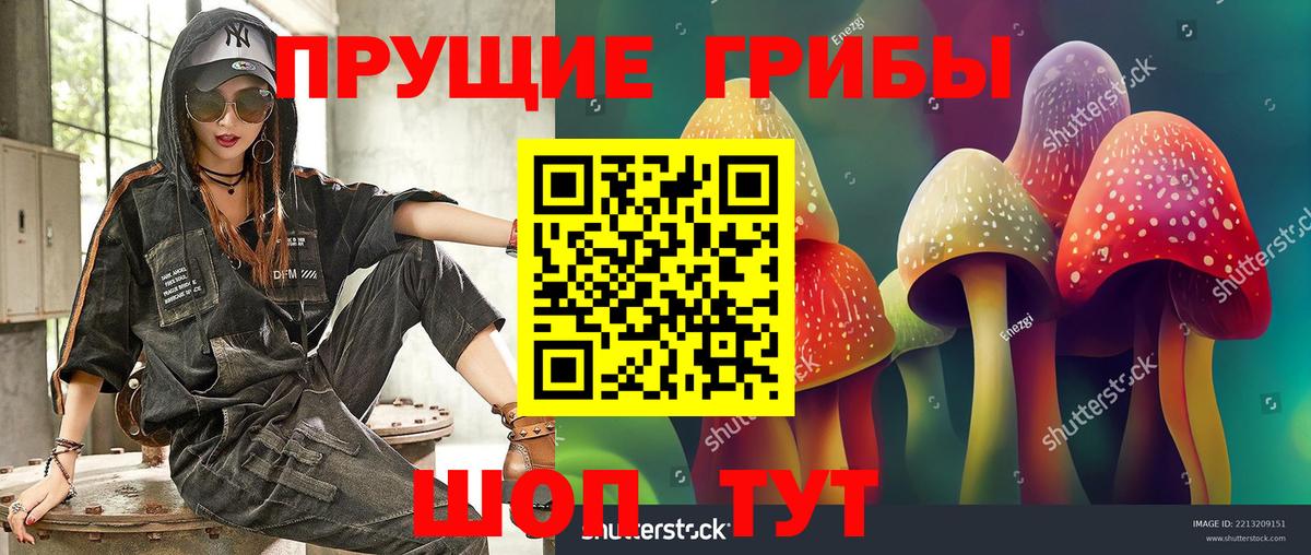 где найти наркотики  Галлюциногенные грибы Cubensis  Вход с VPN  Заринск 